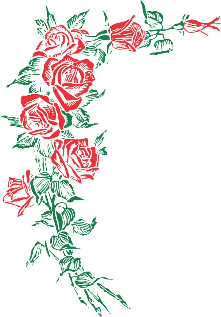 rose, roses, floral-2775953.jpg